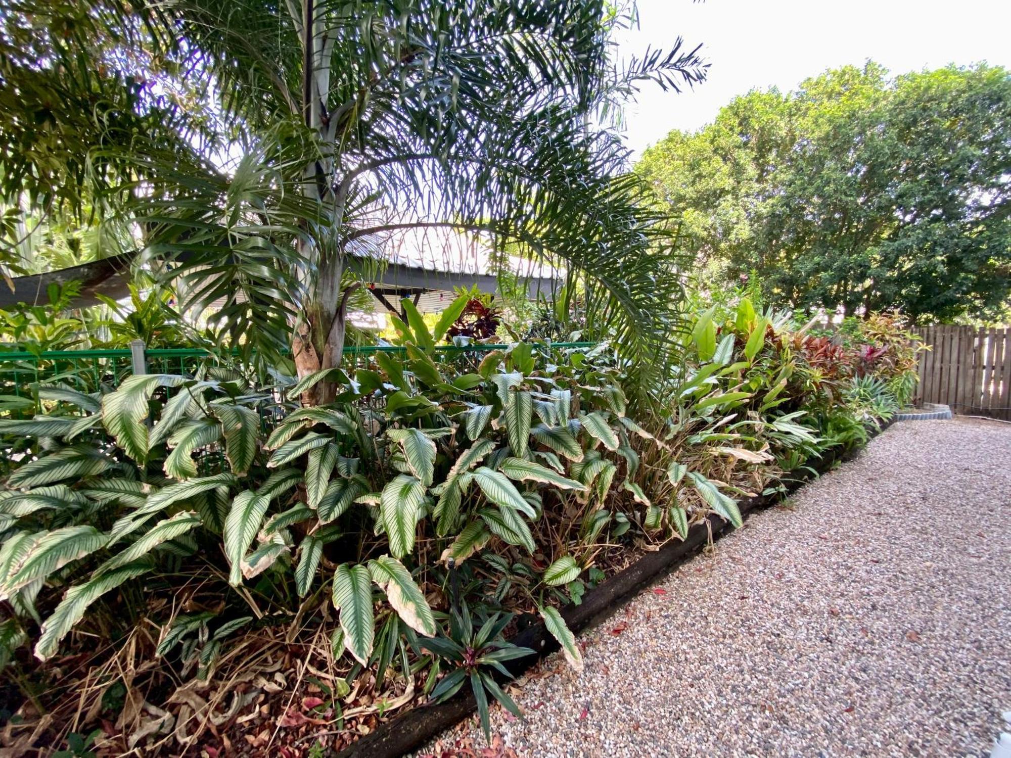 Reef Gateway Apartments Cairns Eksteriør billede